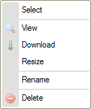 Kontextové menu souboru CKFinder